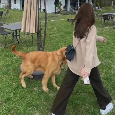 隔绝之巢